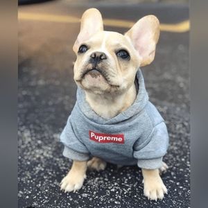 100% Bamboo Small Dog Hoodie